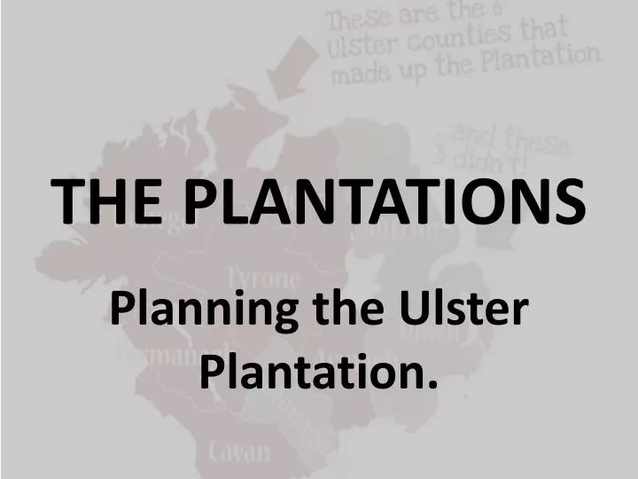 the plantations