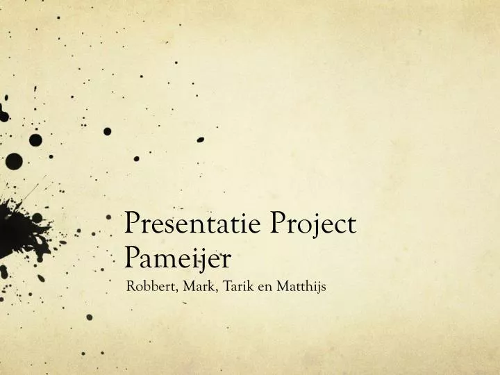 presentatie project pameijer