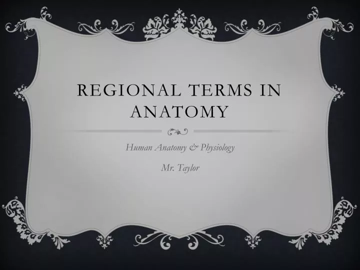 regional terms in anatomy