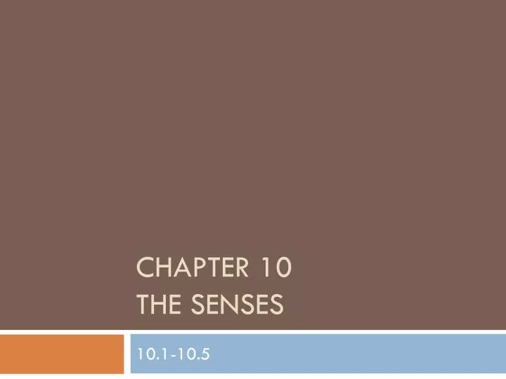 chapter 10 the senses