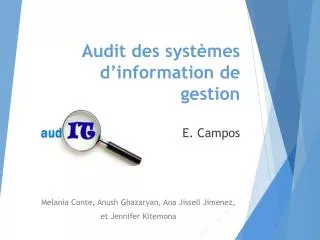 audit des syst mes d information de gestion e campos