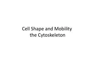 Cell Shape and Mobility the Cytoskeleton