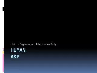 Human A&amp;P