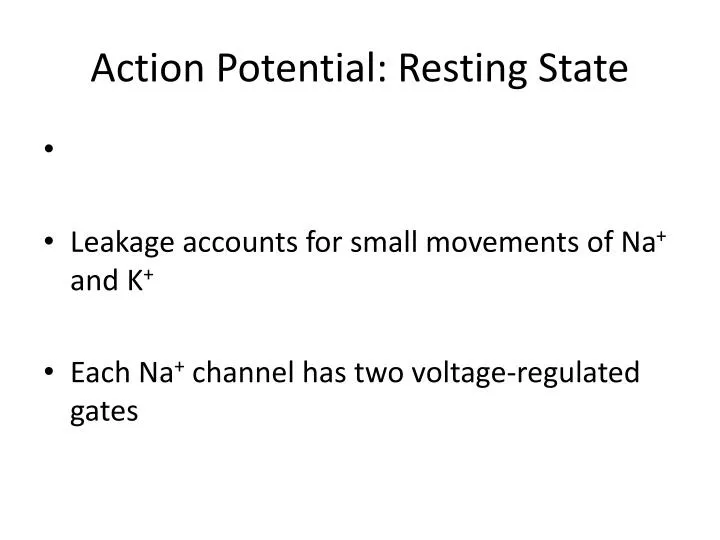 action potential resting state