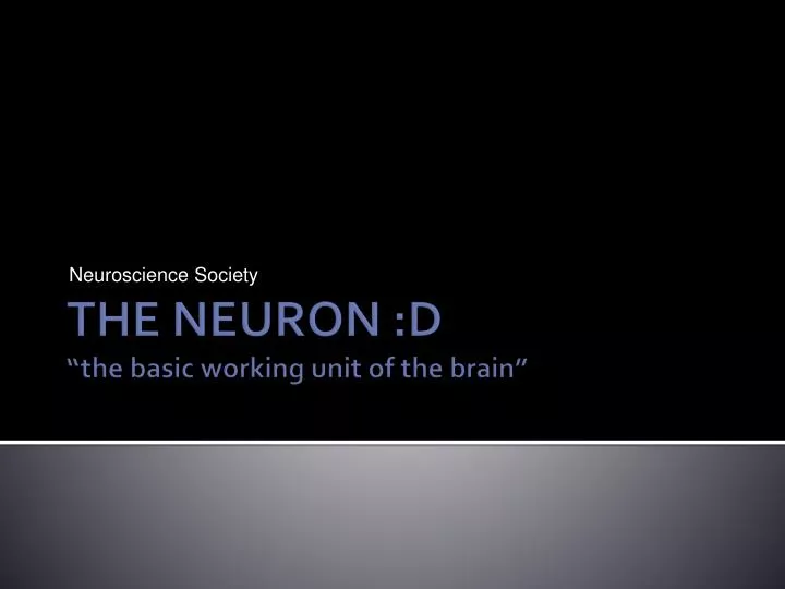 neuroscience society