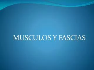 MUSCULOS Y FASCIAS