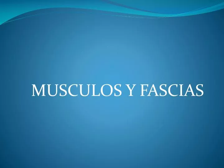 musculos y fascias