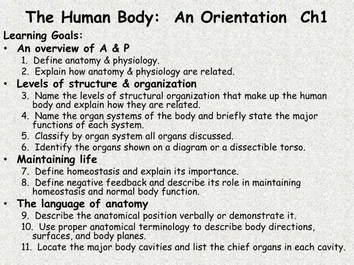 the human body an orientation ch1