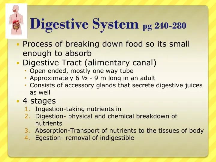 digestive system pg 240 280