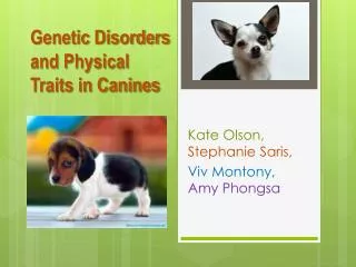 Genetic Disorders and Physical Traits in Canines