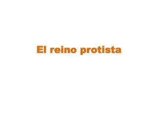 el reino protista