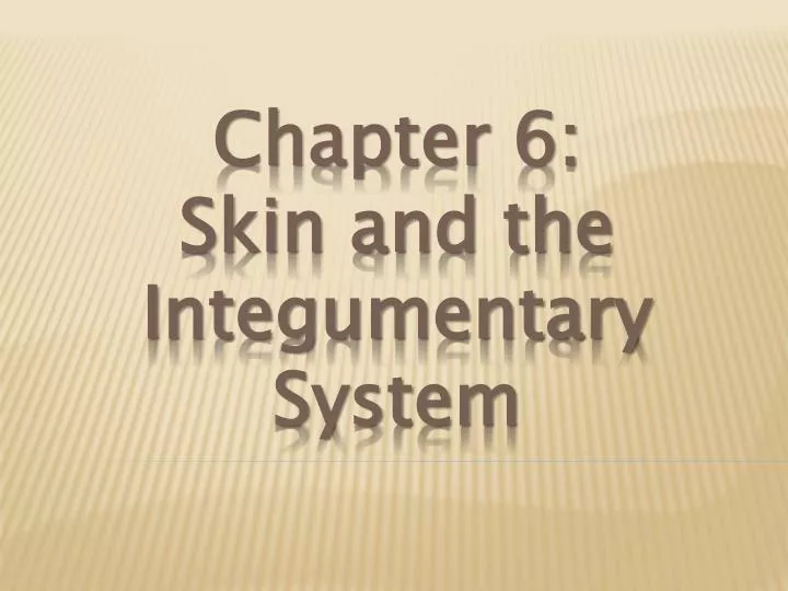 chapter 6 skin and the integumentary system