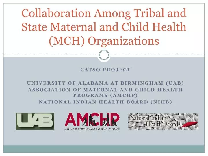 collaboration among tribal and state maternal and child health mch organizations