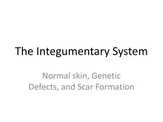 The Integumentary System