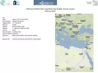 LifeTrack of White Stork ,tag 3035 ( ring HL466), Ciconia ciconia 2013 to 2013