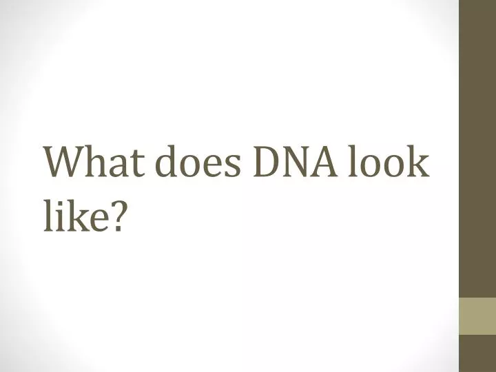 what does dna look like