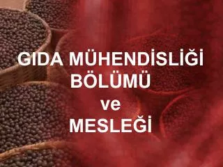 gida m hend sl b l m ve mesle