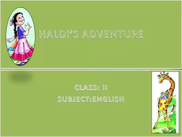 haldi s adventure