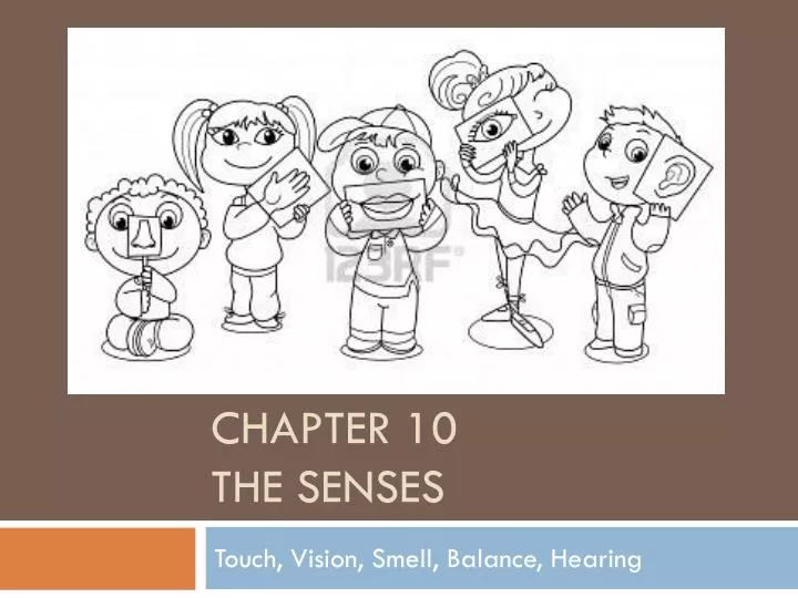 chapter 10 the senses