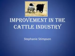 Improvement in the Cattle Industry