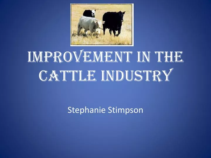 improvement in the cattle industry
