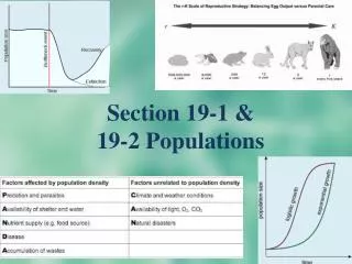 section 19 1 19 2 populations