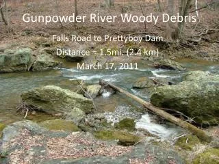 Gunpowder River Woody Debris