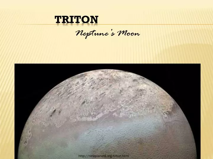 triton