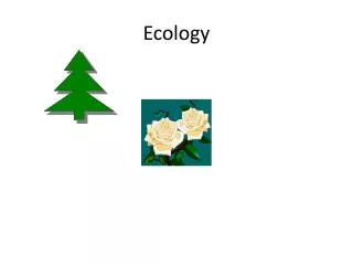 Ecology