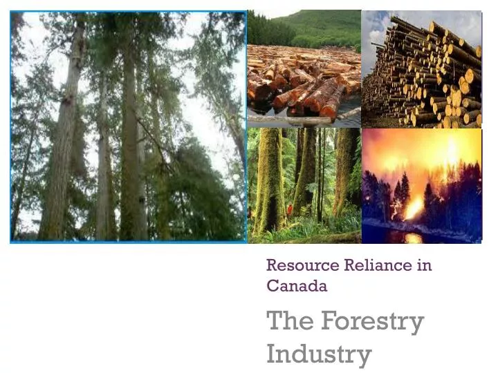 resource reliance in canada