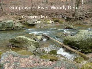 Gunpowder River Woody Debris