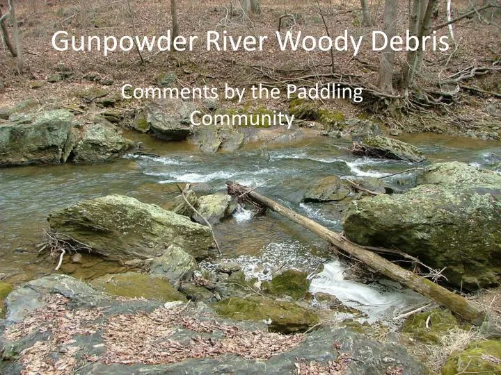 gunpowder river woody debris