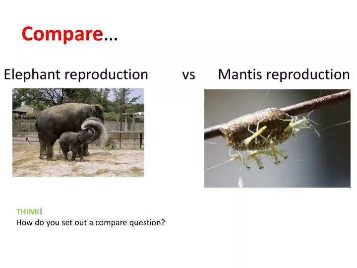 compare