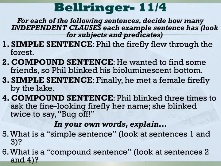 bellringer 11 4