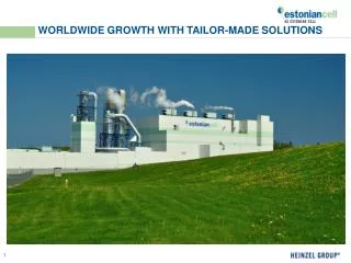 WORLDWIDE GROWTH WITH TAILOR-MADE SOLUTIONS