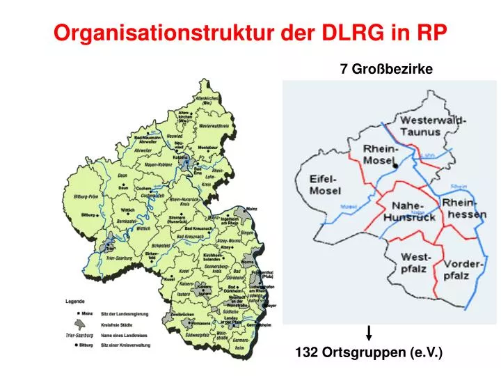 organisationstruktur der dlrg in rp