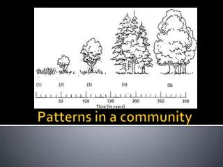 Patterns in a community