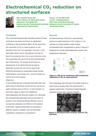 Electrochemical CO 2 reduction on structured surfaces