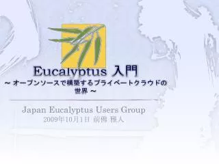 eucalyptus