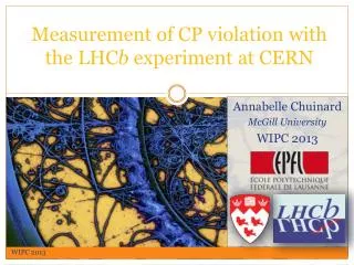 Measurement of CP violation with the LHC b experiment at CERN
