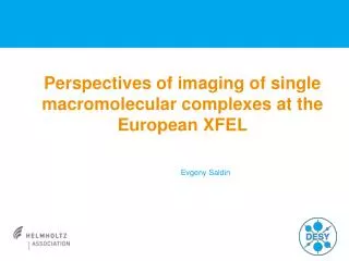 Perspectives of imaging of single macromolecular complexes at the European XFEL