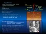 Secondary electron detector - slide 1