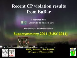 Recent CP violation results from BaBar