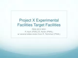 Project X Experimental Facilities Target Facilities