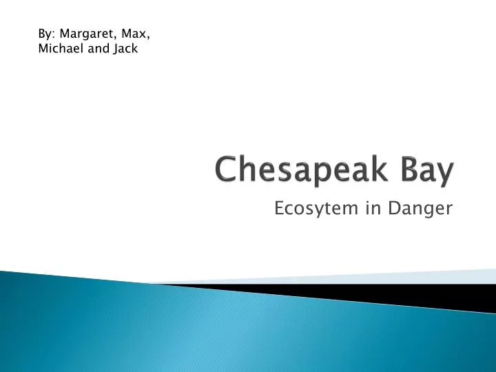 chesapeak bay