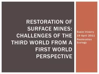 Restoration of surface mines: challenges of the third world from a first world perspective
