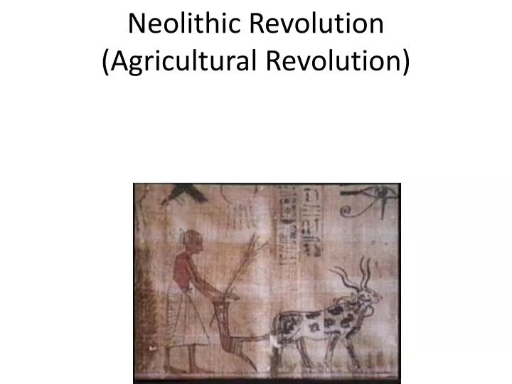 neolithic revolution agricultural revolution