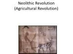Neolithic Revolution (Agricultural Revolution) - slide 1
