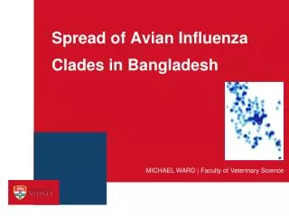 Spread of Avian Influenza Clades in Bangladesh