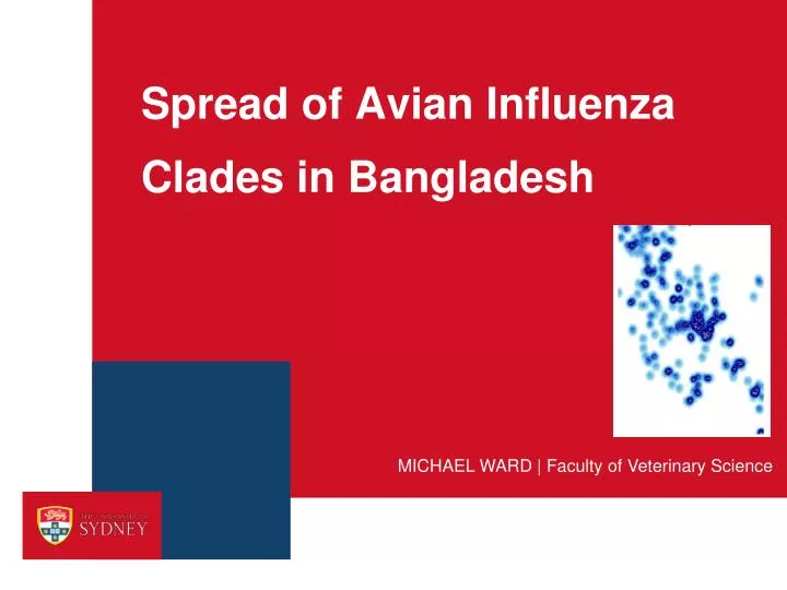 spread of avian influenza clades in bangladesh